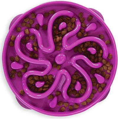Outward Hound Slow Feeder Dog Bowl Large Purple – Non-Slip, Dishwasher Safe