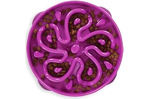 Outward Hound Large Slow Feeder Bowl, Puzzle Maze for Fast Eaters, Medium to Large Dogs, Helps Prevent Bloat & Aid Digestion, Holds 4 Cups Wet or Dry Food, Non-Slip, Made Without BPA, Purple