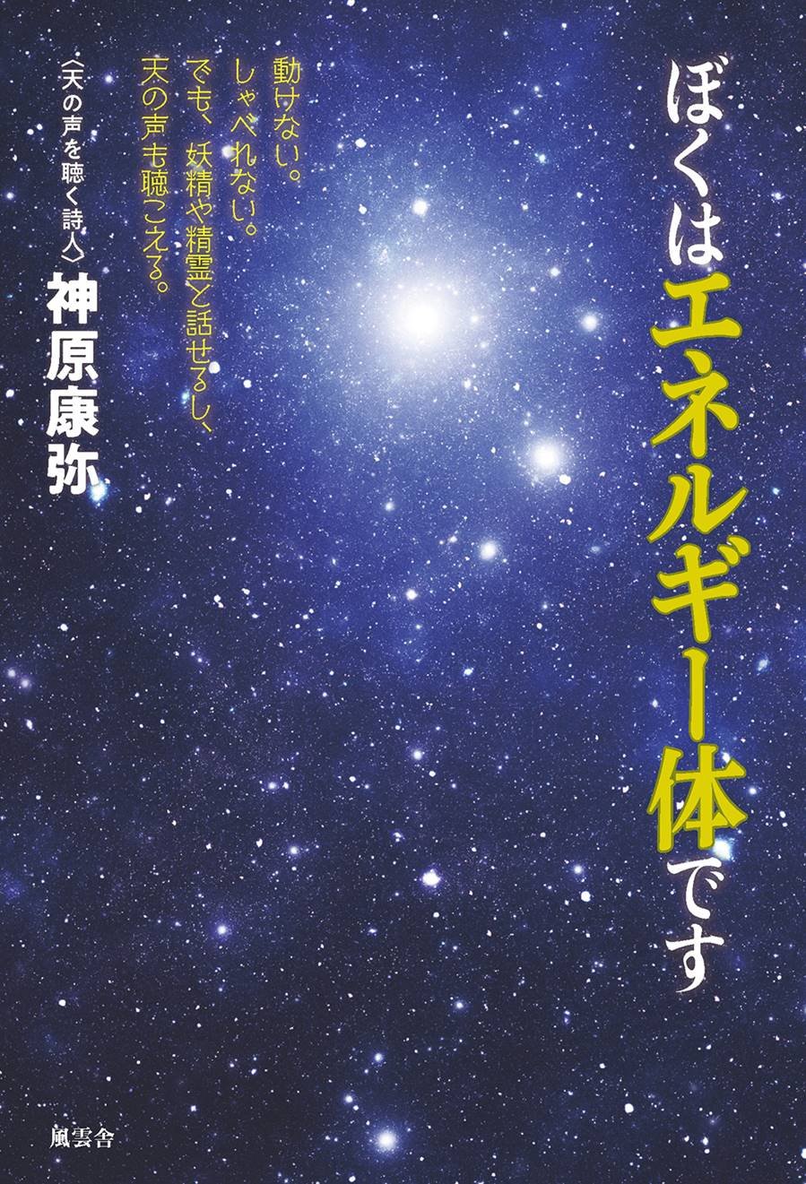 ぼくはエネルギー体です 動けない しゃべれない でも 妖精や精霊と話せるし 天の声も聴こえる 神原 康弥 本 通販 Amazon