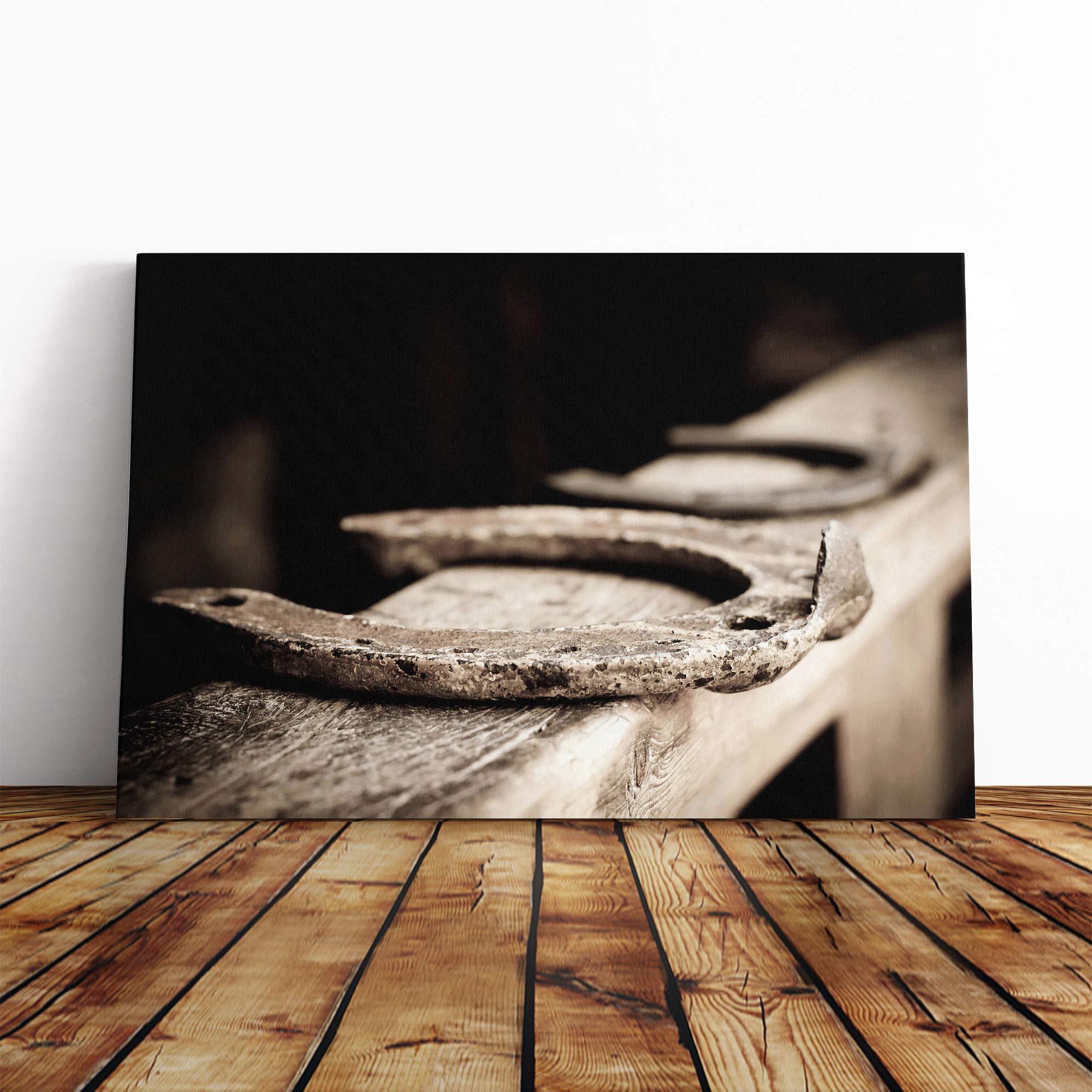 Horse Shoe Canvas Print | Gallery Wrapped 30mm Frame Wall Art | 20x14 inches | Ready to Hang | Modern Animals Picture | Living Room Bedroom Lounge Office