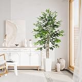 YOLEO 6ft Ficus Tree with White Planter Indoor Fake Plant Decor view 9