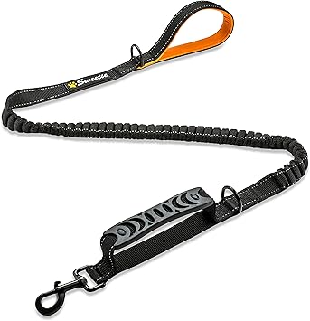 long bungee dog lead