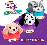 Little Live Pets Buddy Retriever Mini Puppy 20+ Sounds Basket Bed view 6
