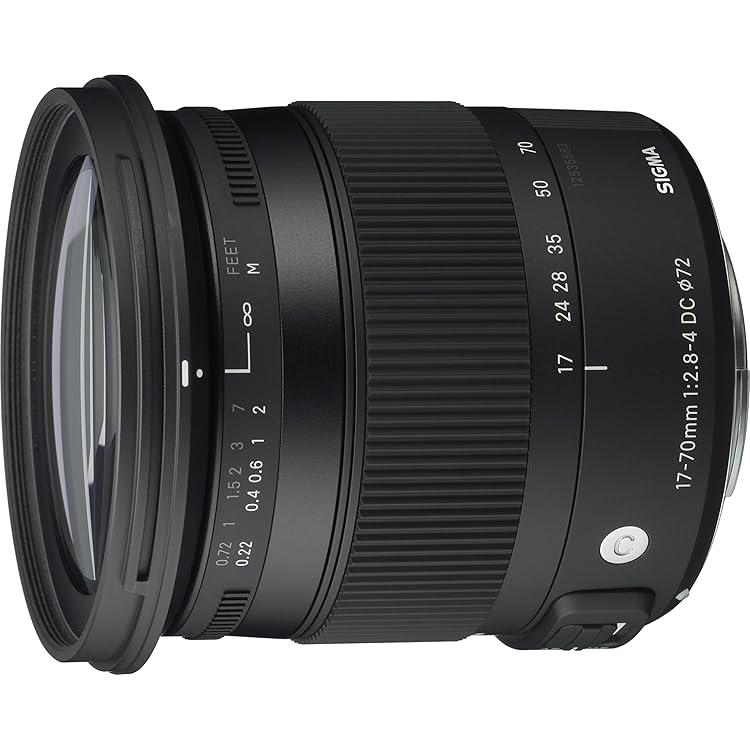 Amazon.com : Sigma 17-70mm f/2.8-4 DC Macro OS HSM Lens for Pentax