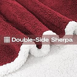 BEAUTEX Sherpa Throw Blanket, Super Soft Red