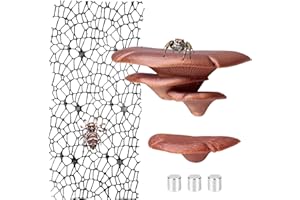 CYNAILLI Jumping Spider Hide Habitat Accessories, Brown Jumping Spider Enclosure Mushroom Shelf Magnetically Concealed, Jumping Spider Web with Magnets, Jumping Spider Enclosure Climbing and Feeding Platforms