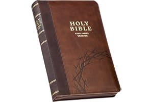 KJV Holy Bible, Deluxe Gift Bible with Thumb Tabs, Ribbon Marker, King James Version, Faux Leather, Amazing Grace, Zipper Closure