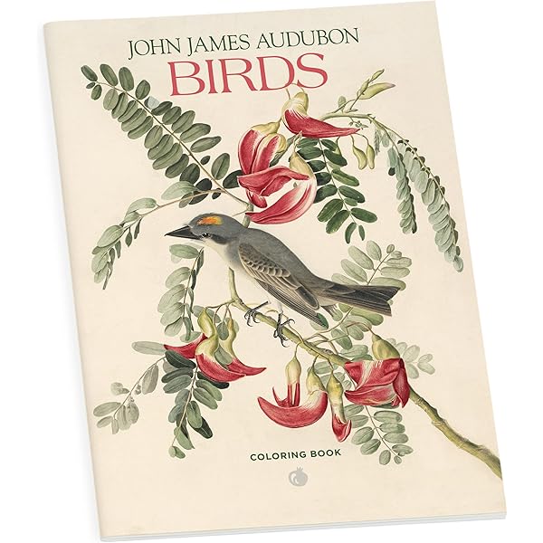 Birds: The Art of Ornithology: Elphick, Jonathan: 9780847861088