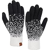 FZ FANTASTIC ZONE Womens Winter Warm Touchscreen Gloves Knit Working Texting Thermal Gloves for Women Cold Weather Gifts