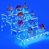 weddingwish Acrylic Tiered Display Stand with