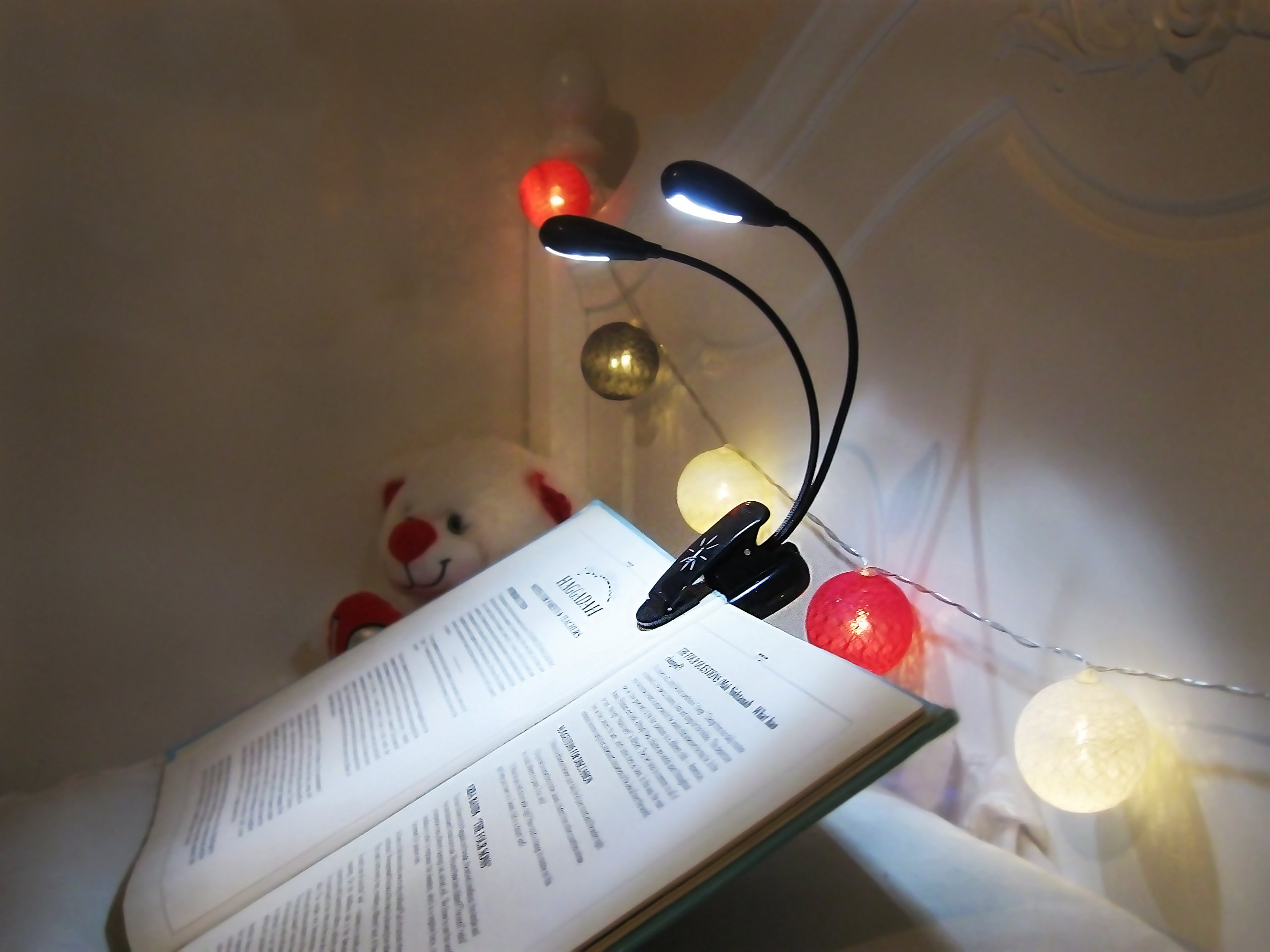 iLight Rechargeable Eye-Care Warm Book Light, Clip On Bed Reading Light, Music Stand Lamp, 8 LED, 5 Brightness, 2 Goosenecks Light Up 2 Full Pages. Perfect For Bookworms, Reading, Working or Studying