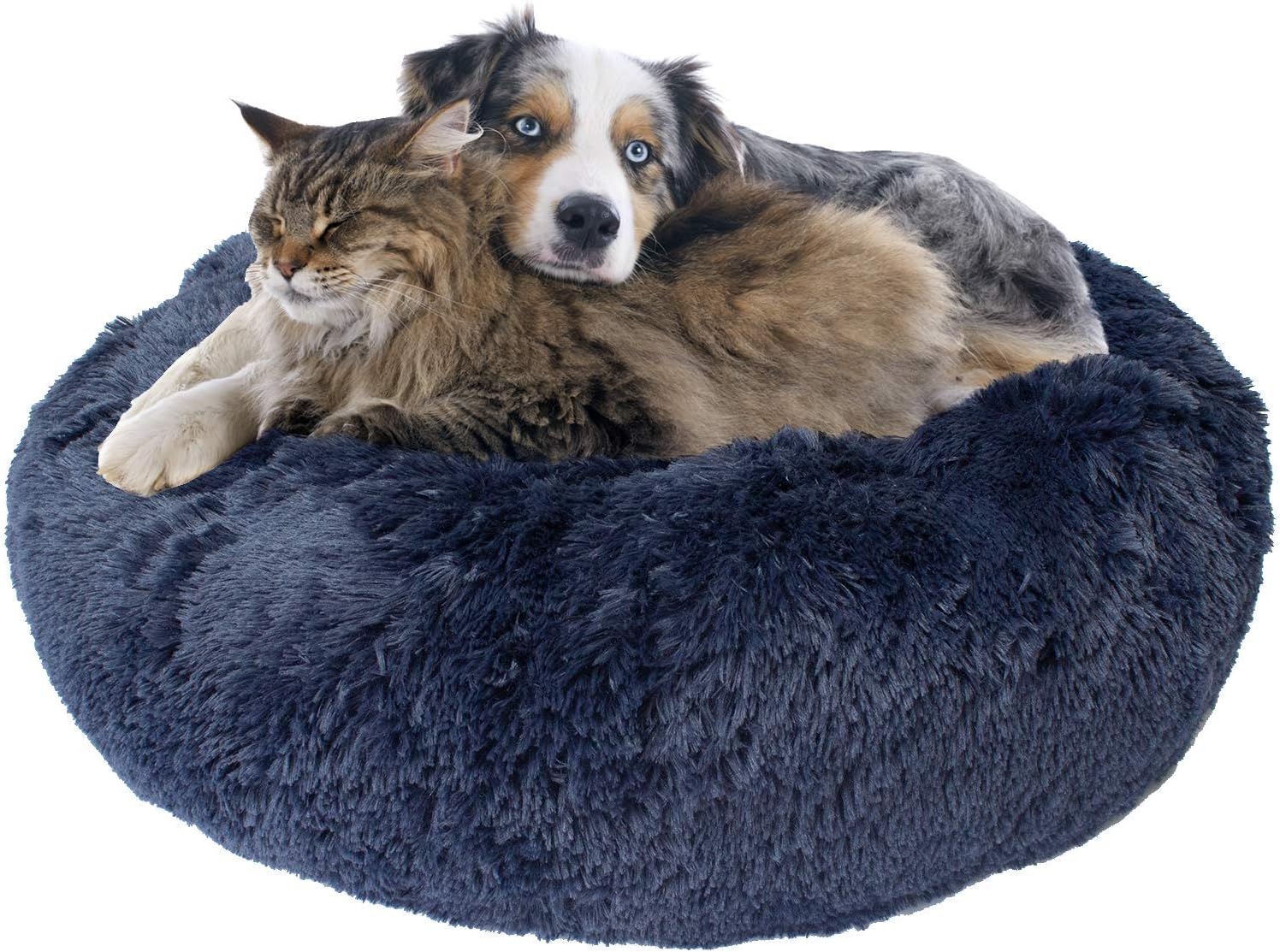 comfy pet donut bed