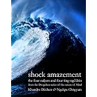 Shock Amazement