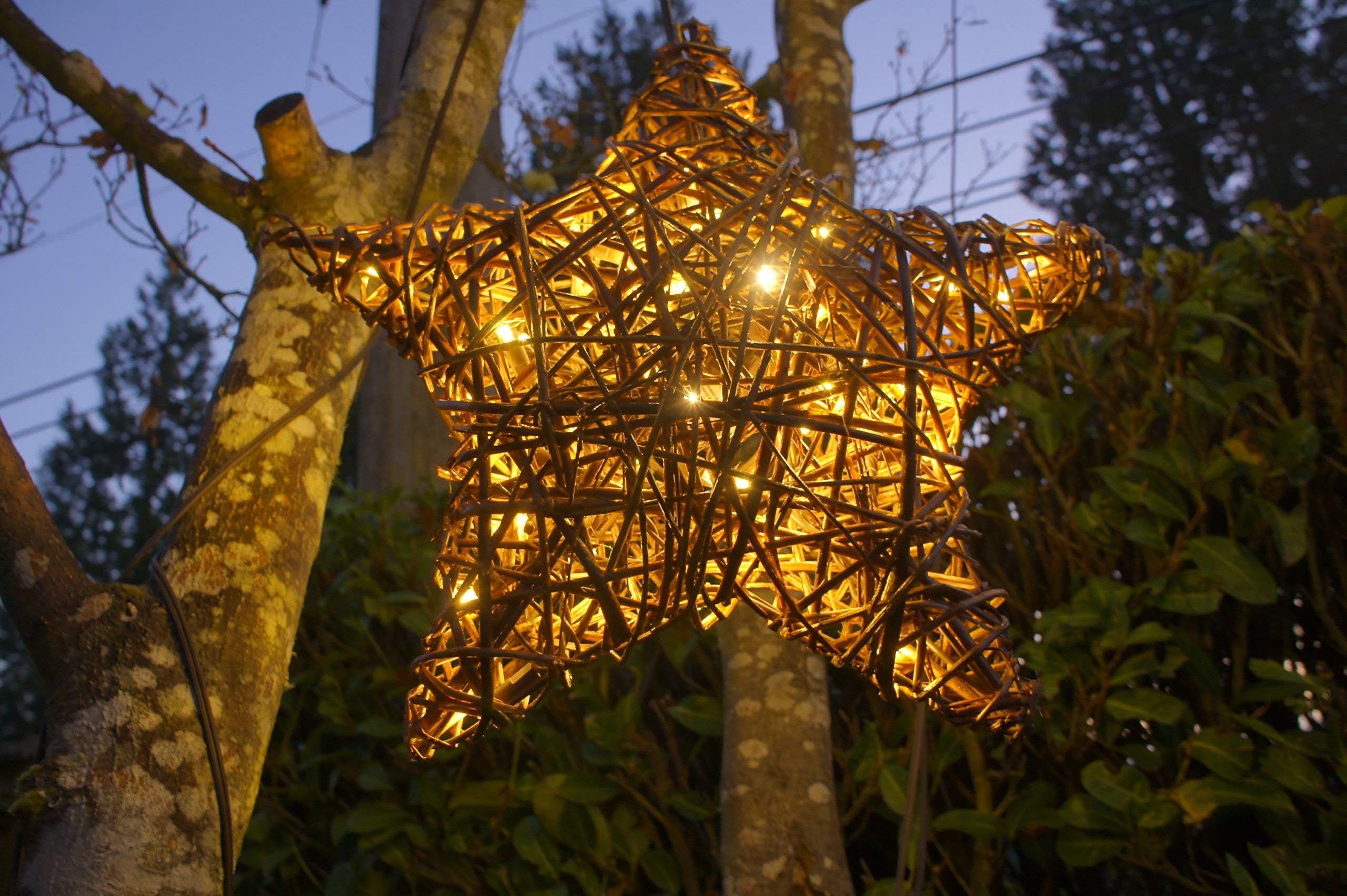Willowbrite Star (16"), Willow Branch with 50 LEDs, Christmas Decoration, Holiday Tree top, 3200K