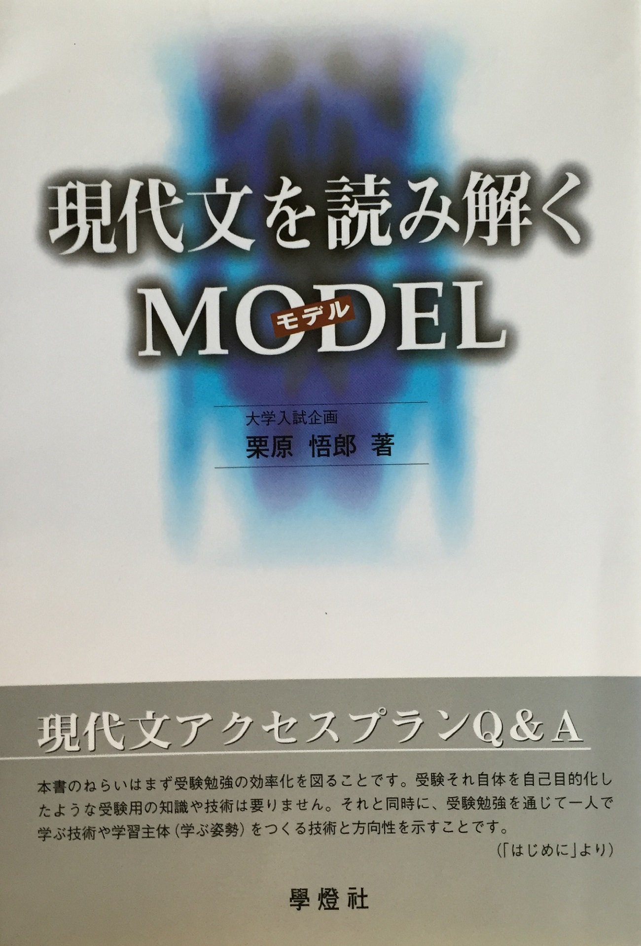 現代文を読み解くモデル アクセスプランq A 栗原 悟郎 本 通販 Amazon