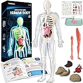 GobiDex Human Body Skeleton Model Kits, 40 Piece Anatomy Figure,Glow in The Dark Bones Interactive Science Kit, STEM Educational Toys for Boys and Girls, Halloween Physiology Gifts for Kids Ages 8+