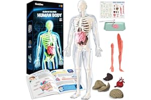 GobiDex Human Body Skeleton Model Kits, 40 Piece Anatomy Figure,Glow in The Dark Bones Interactive Science Kit, STEM Educational Toys for Boys and Girls, Halloween Physiology Gifts for Kids Ages 8+