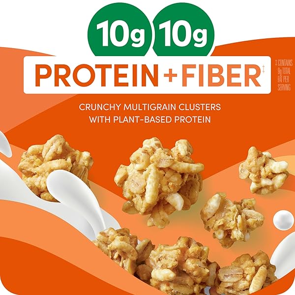 KASHI GO PROTEIN CEREAL, 10G PROTEIN, 10G FIBER, PEANUT BUTTER CRUNCH, 16.9OZ BOX (1 BOX)
