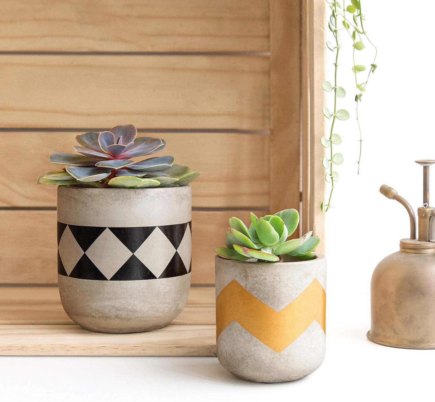 Mkono Cement Succulent Planter Set of 3 Concrete Plant Pots Modern Flower Pots Indoor for Cactus Herb or Small Plants Home Decor Gift Idea (Plants NOT Included), 4" : Garden & Outdoor