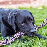 SHARLOVY Large Tough Chew Toys for Aggressive Chewers 9 Pack Rope Tug Ball view 6