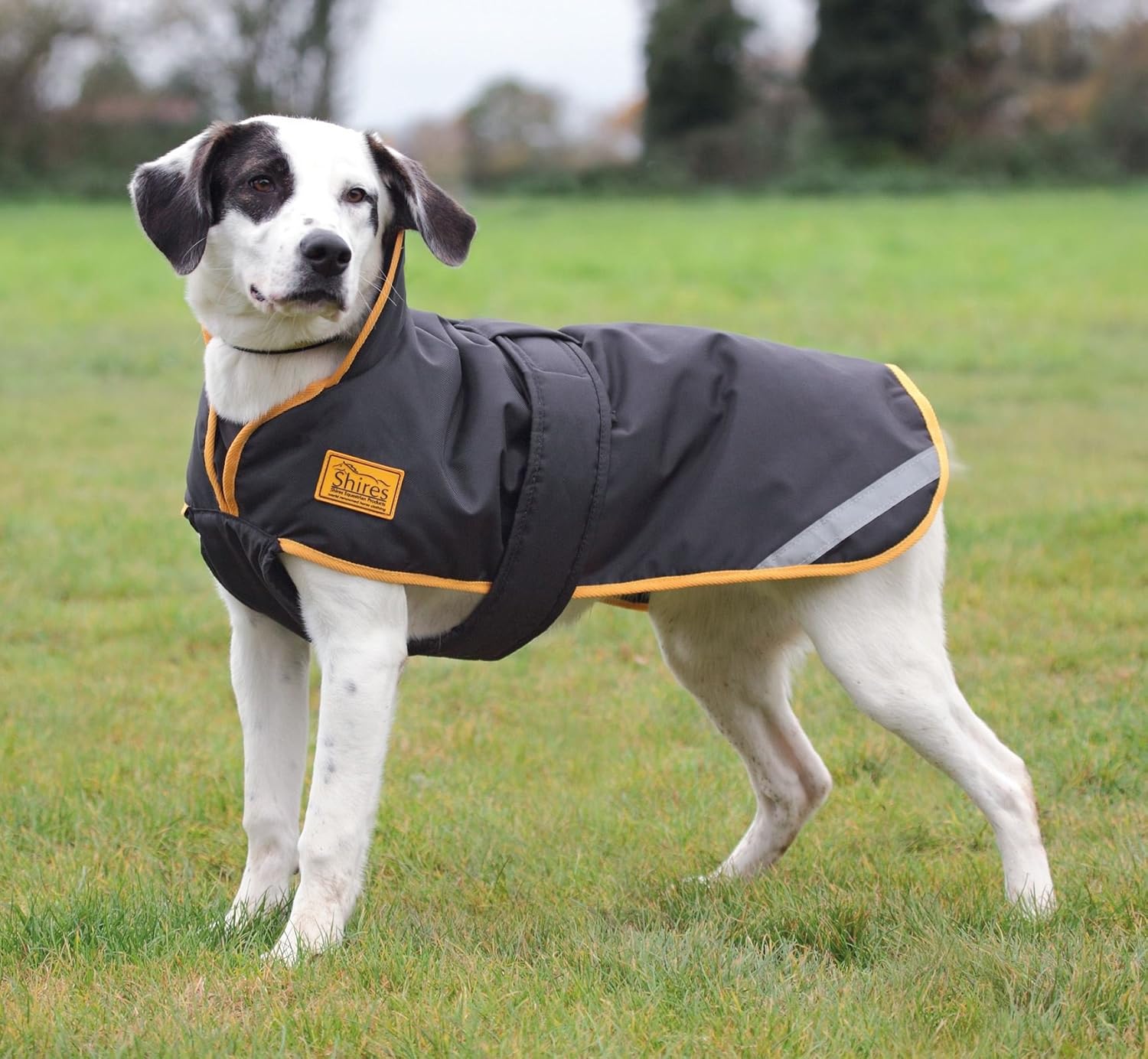 STORMBREAKER DOG COAT RAIN WEATHER PROOF WARM DRY Amazon.co.uk Sports & Outdoors