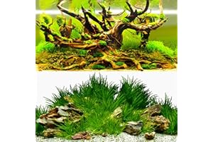 ELEBOX New 20" x 48" Fish Tank Background Paper Wallpaper 2 Sided Colorful Seaweed Water Plants Aquarium Poster Decorations