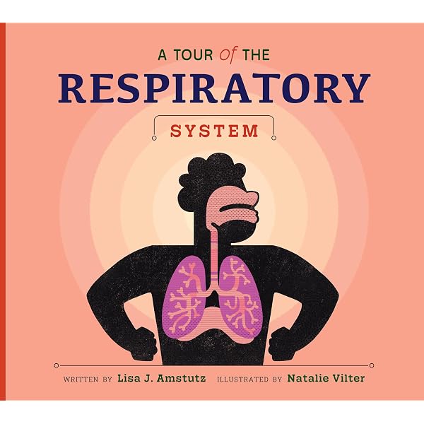 A Tour of the Digestive System (Welcome to Your Body): Amstutz