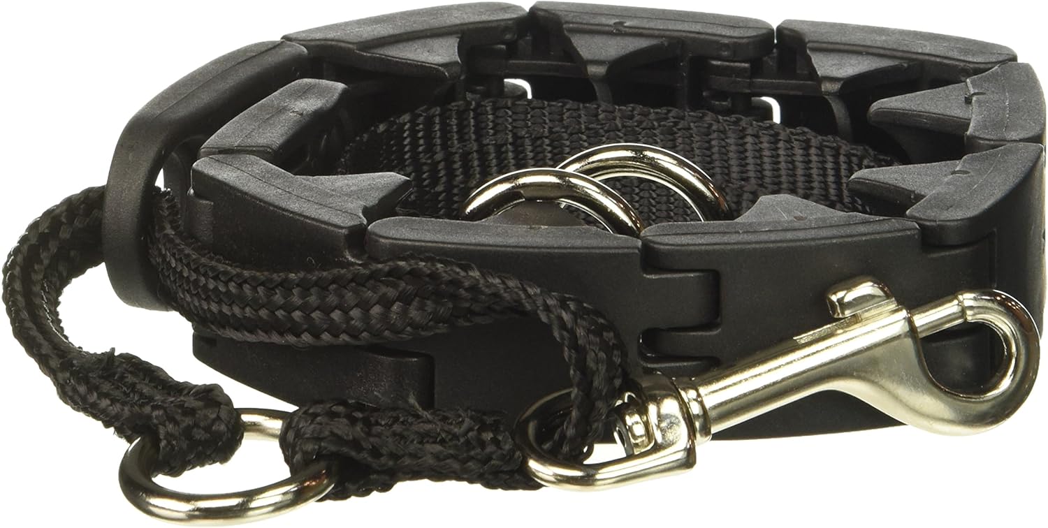 Reviews StarMark ProTraining Dog Collar