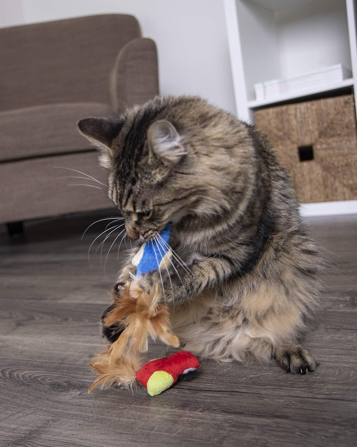 Petlinks Parrot Tweet Touch Activated Cat Toy : Catnip Toys : Pet Supplies