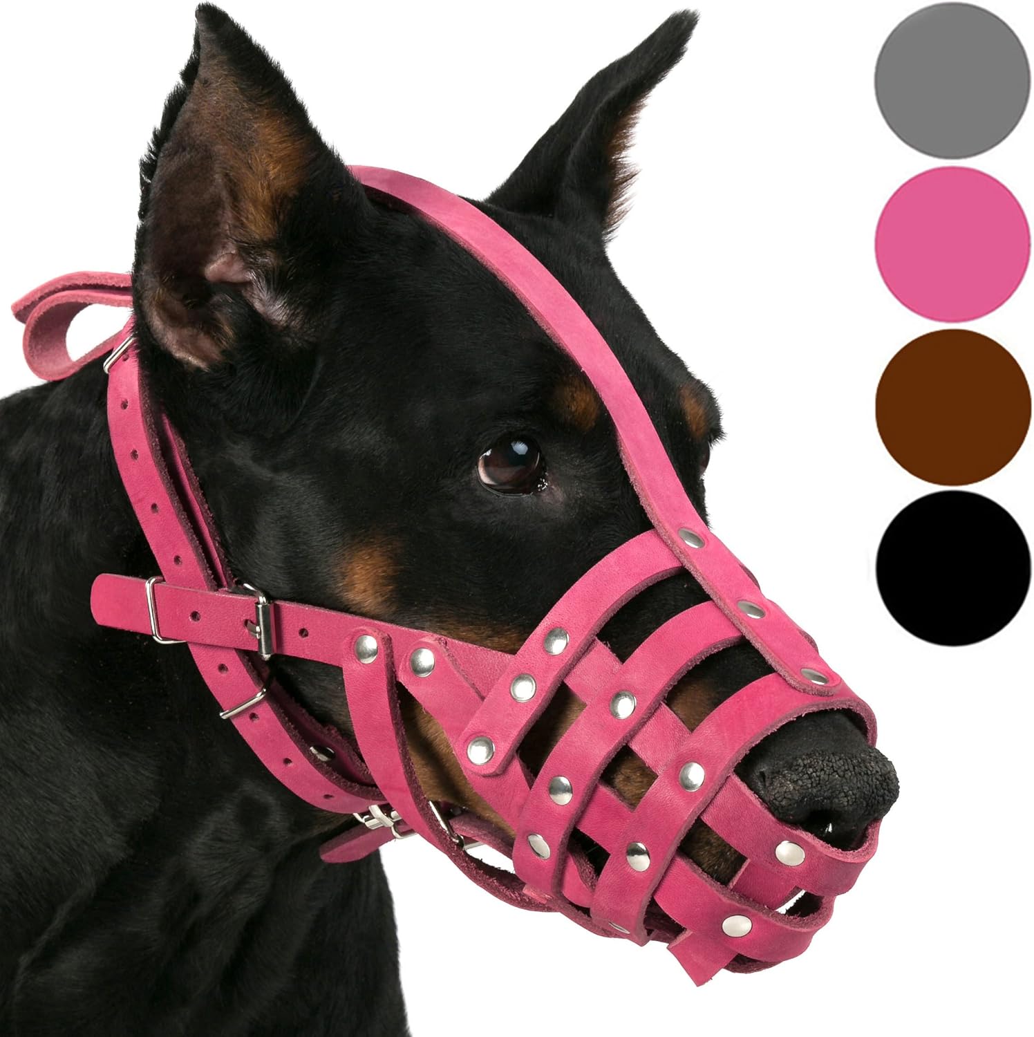 can dogs take liquid tylenol