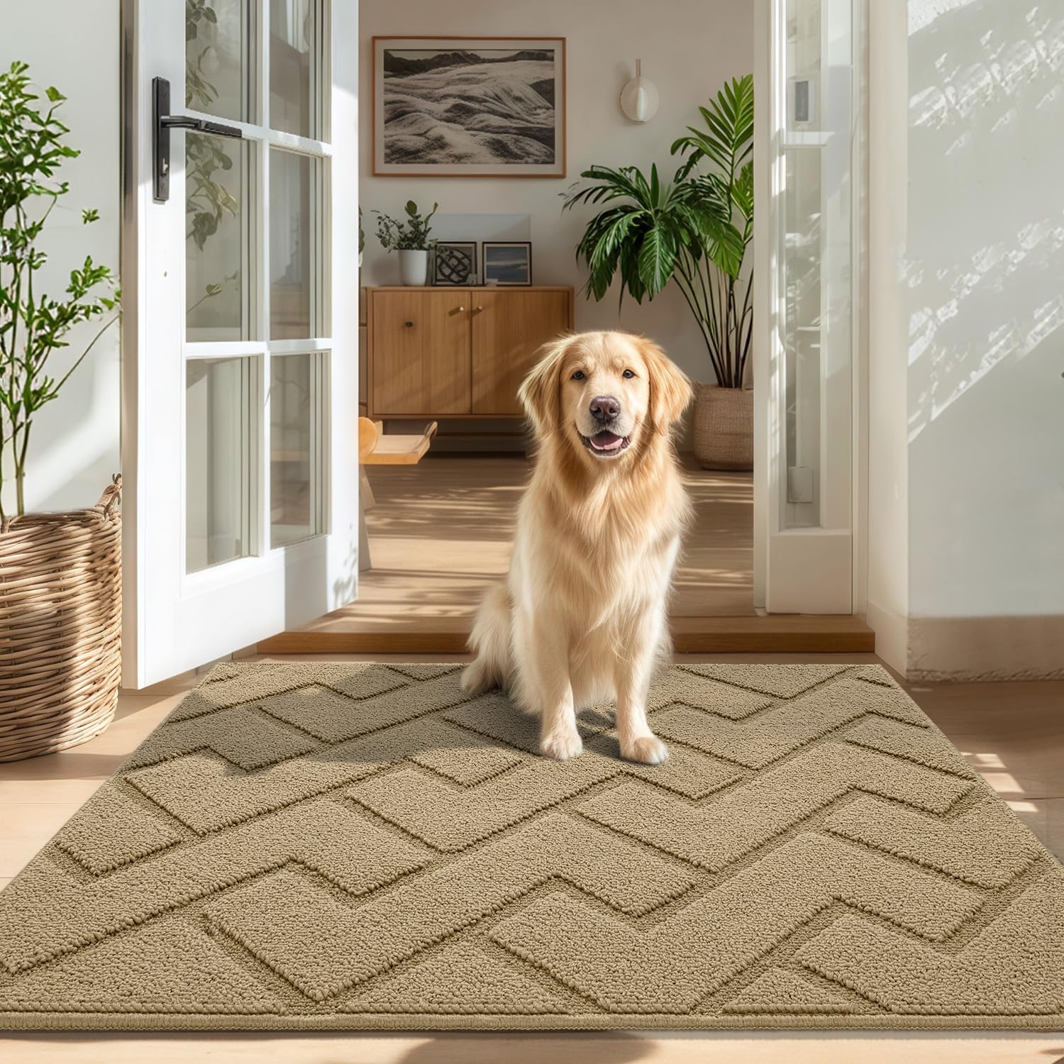 Biscpro Door Mat, 80x100cm DoorMat Indoor Washable, Doormat Indoor Dirt Trapper Non-slip,Absorbent Inside Entrance Rug Mat for Entryway,Patio,Garden,Laundry Room,Pets - Beige