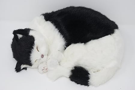 Minster 1949 Realiste Chat Endormi Puss Taille Reelle En Peluche Fausse Fourrure Noir Et Blanc Realiste 30 5 Cm Amazon Fr Cuisine Maison