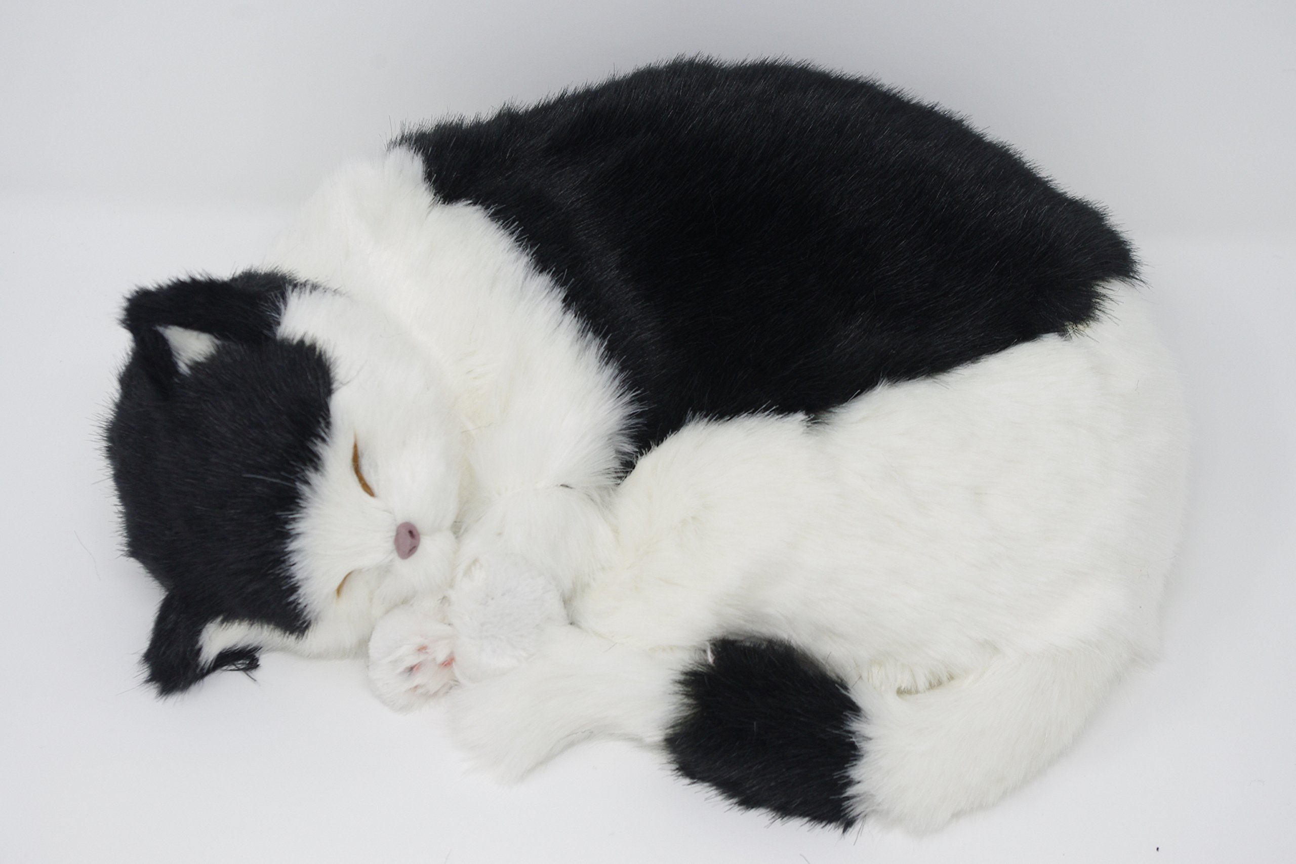 lifelike sleeping cat