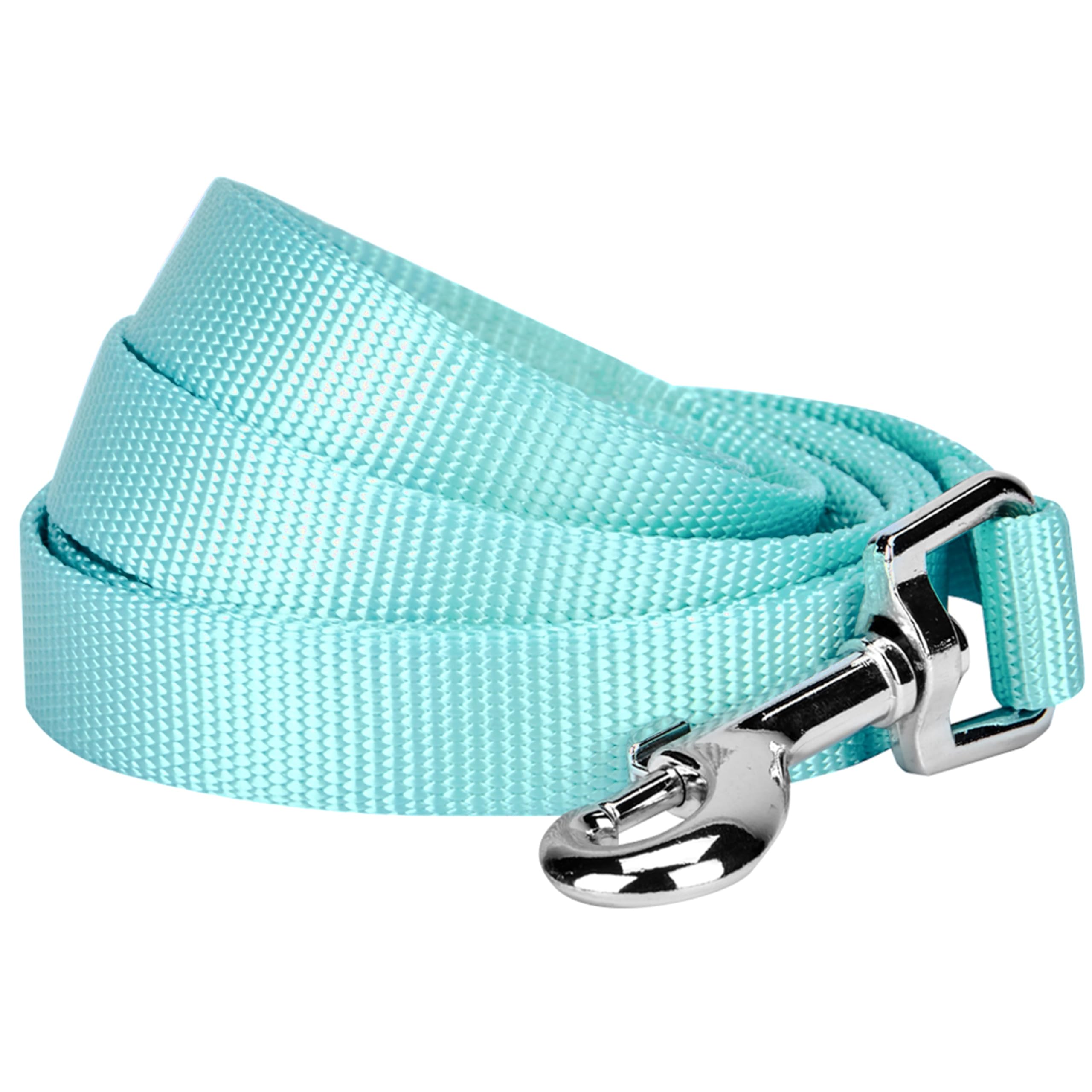 Blueberry Pet Durable Classic Solid Color Dog Lead 150 cm x 1cm for Puppy in Mint Blue, X-Small