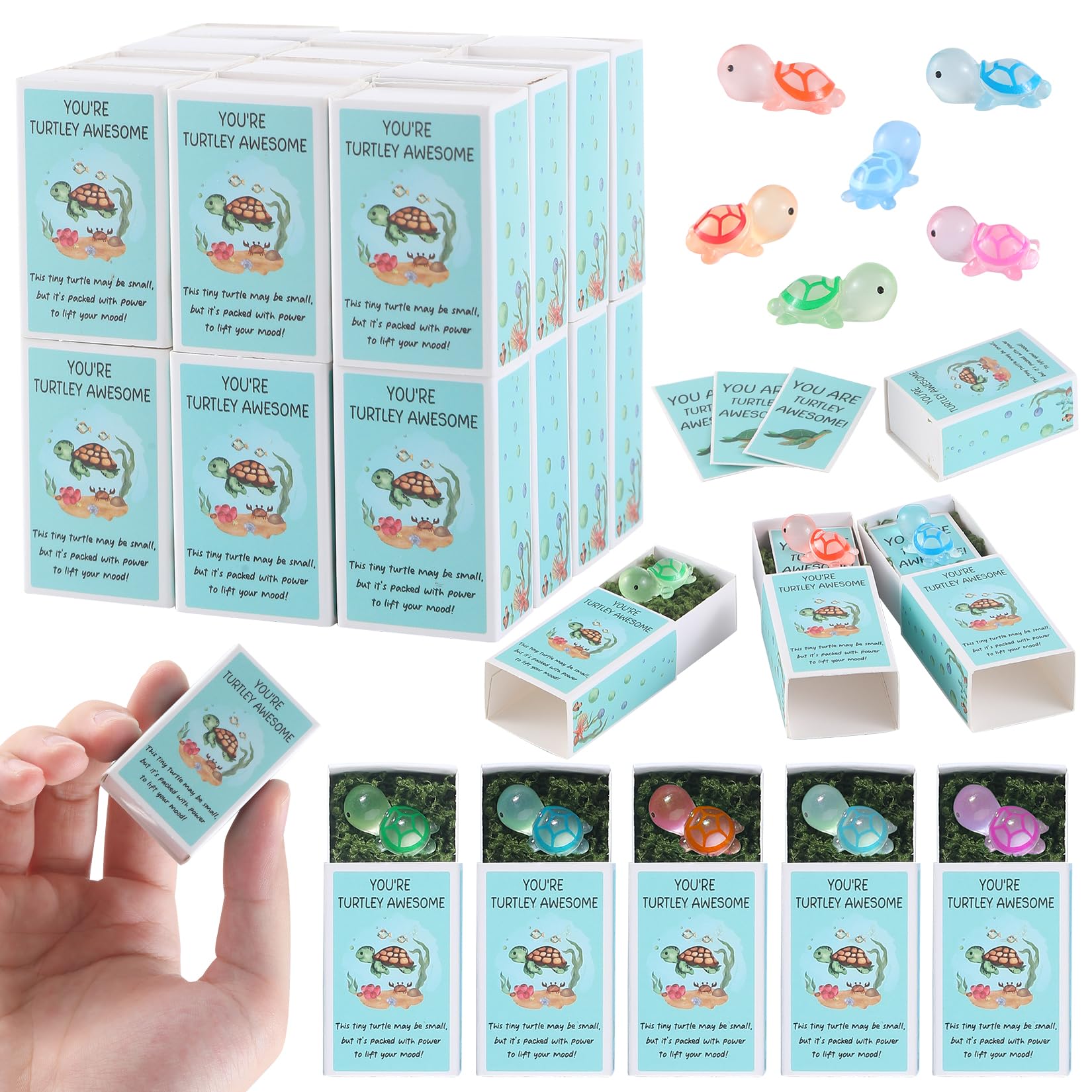 Zowekto Appreciation Gifts Bulk – 48 Pack Glow in the Dark Mini Turtle Thank You Gifts for CNA Week 2025, Teachers, Coworkers, Employee Graduation Favors