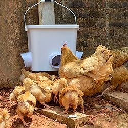 Automatic Chicken Feeder Set Hanging Chicken Feeder