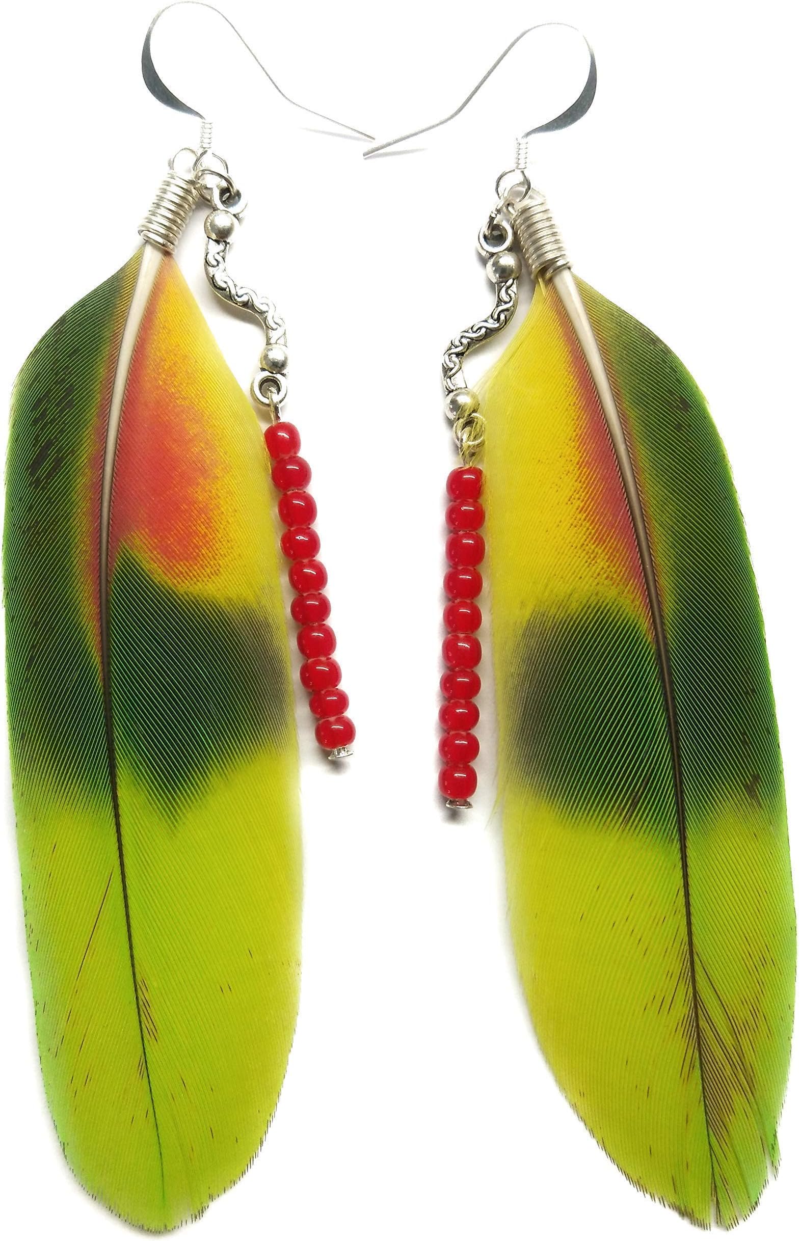 Earrings made from Natural Panama Amazon Parrot Tail Feathers with Red Bead Drop