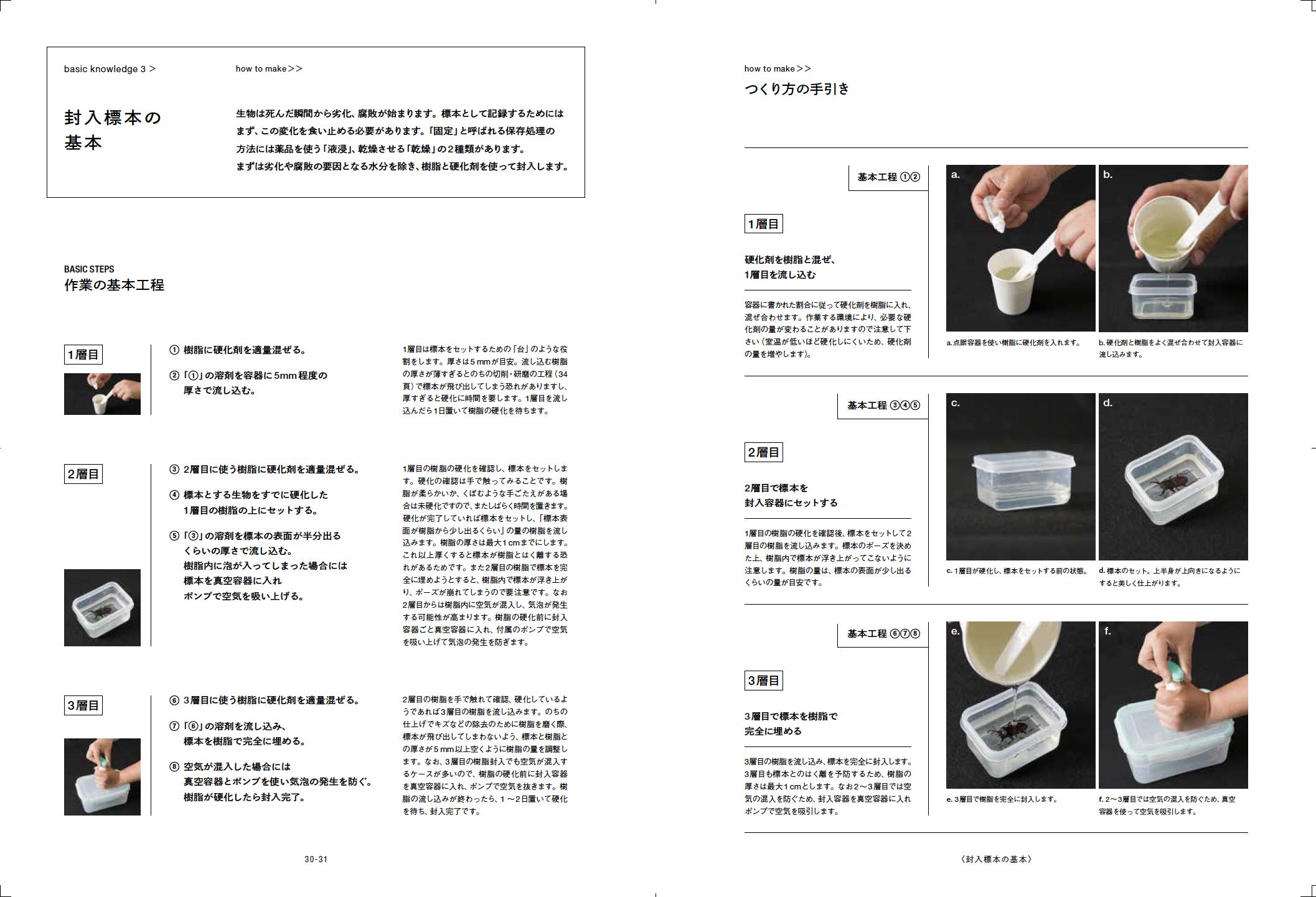 人気商品の マツの生活環 樹脂封入標本 鍼灸 模型 Dprd Jatimprov Go Id 人気商品の マツの生活環 樹脂封入標本 鍼灸 模型 Dprd Jatimprov Go Id