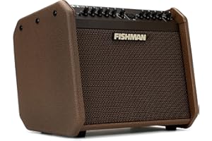 Fishman Loudbox Mini Charge 60-Watt 1x6.5 Inches Battery Powered Acoustic Combo Amp