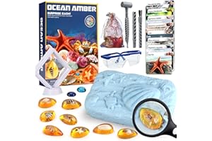Woumserta Ocean Dig Kit - 8 Specimens Excavation Kit, Gemstone for Kids, Fossil Ocean Toys Dig Kits for Amber Collection, Ocean Toys for Boys Girls and up Year Old Birthday Gifts
