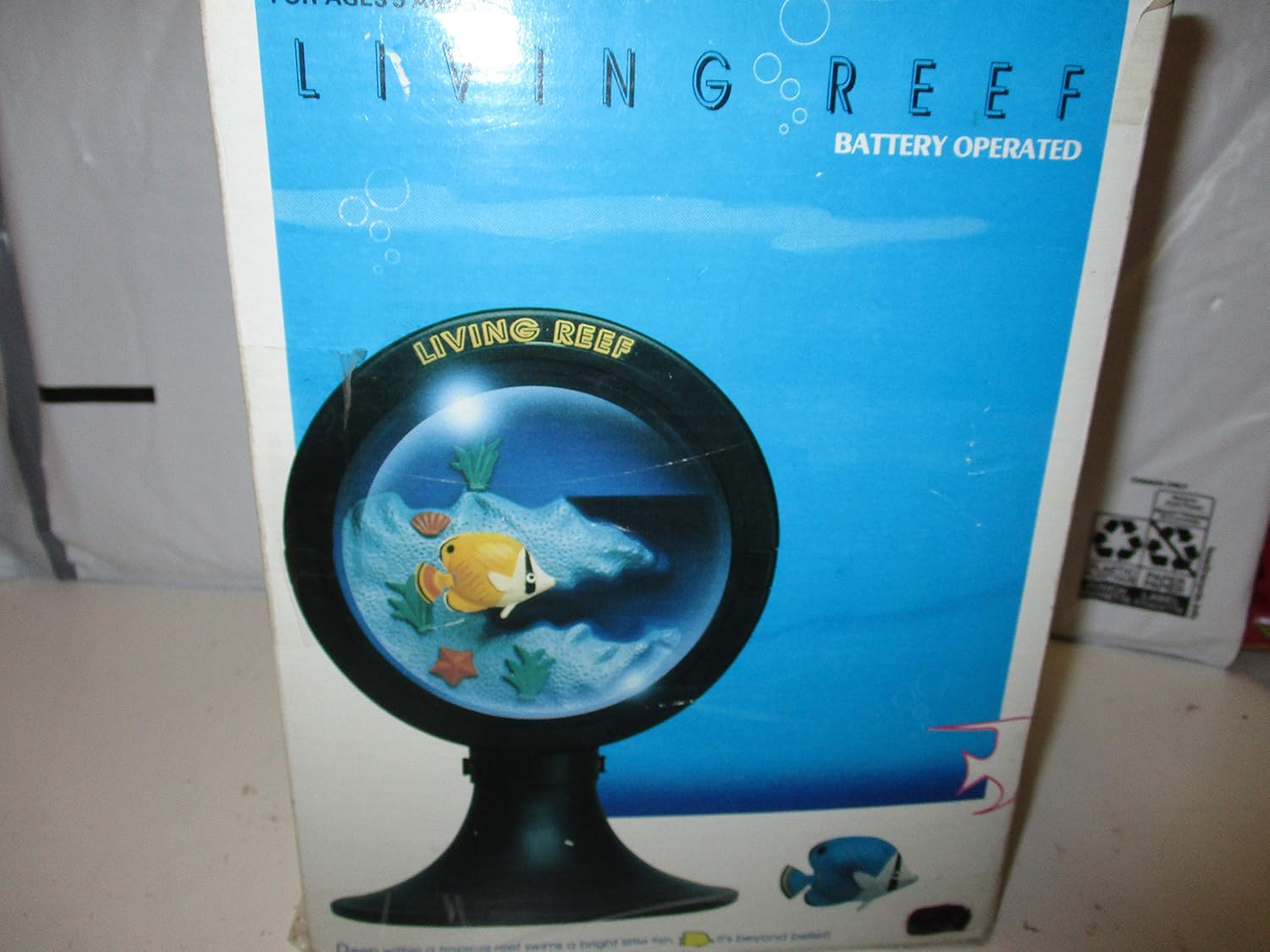 tropical reef fish store