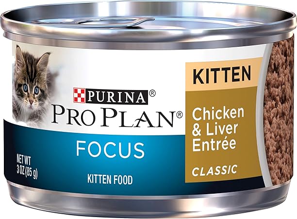 soft cat food for kittens