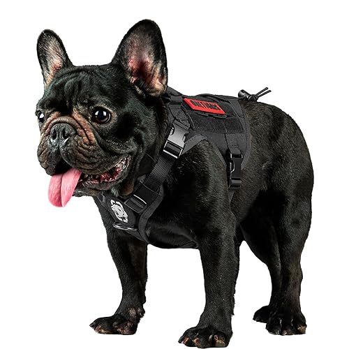 OneTigris Tactical Dog Harness Vest with Handle, Dog Harness for Large  Medium Dogs,No-Pull Service Dog Vest with Hook Loop Panels,Adjustable Dog 