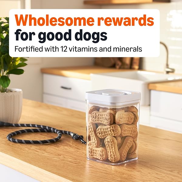 AMAZON BASICS CRUNCHY DOG BISCUITS PEANUT BUTTER FLAVOR DOG TREATS 5 LB. BOX