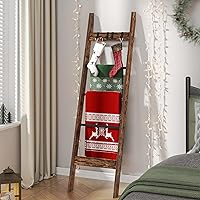 Hzuaneri Blanket Ladder Shelf for Living Room, Decorative Quilt Rack with 4 Removable Hooks, Farmhouse Ladder Holder Organize