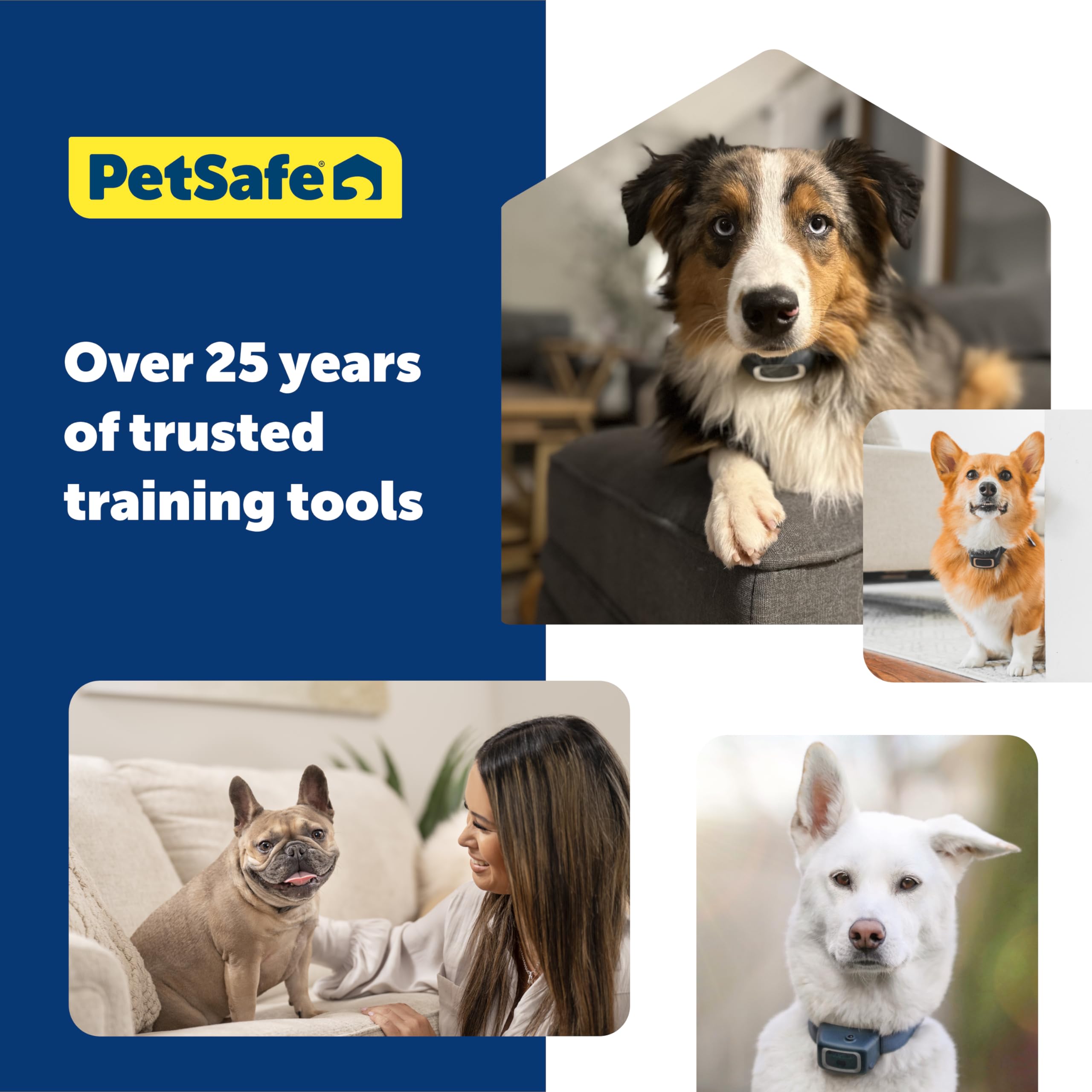PetSafe Spray Refill - Citronella - No-Mess Replacement Cartridges Spray Dog Bark Collar Remote Training Collar - Refill Cartridge Only - 3-Pack - PAC00-16371