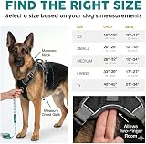 Embark Pets No Pull Harness for Dogs Front Back Leash Clips Reflective view 3