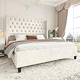 Jocisland King Size Bed Frame Velvet Upholstered Platform Bed with 51.6" Tall Wingback Headboard Deep Button Tufted, No Box Spring Needed, Cream