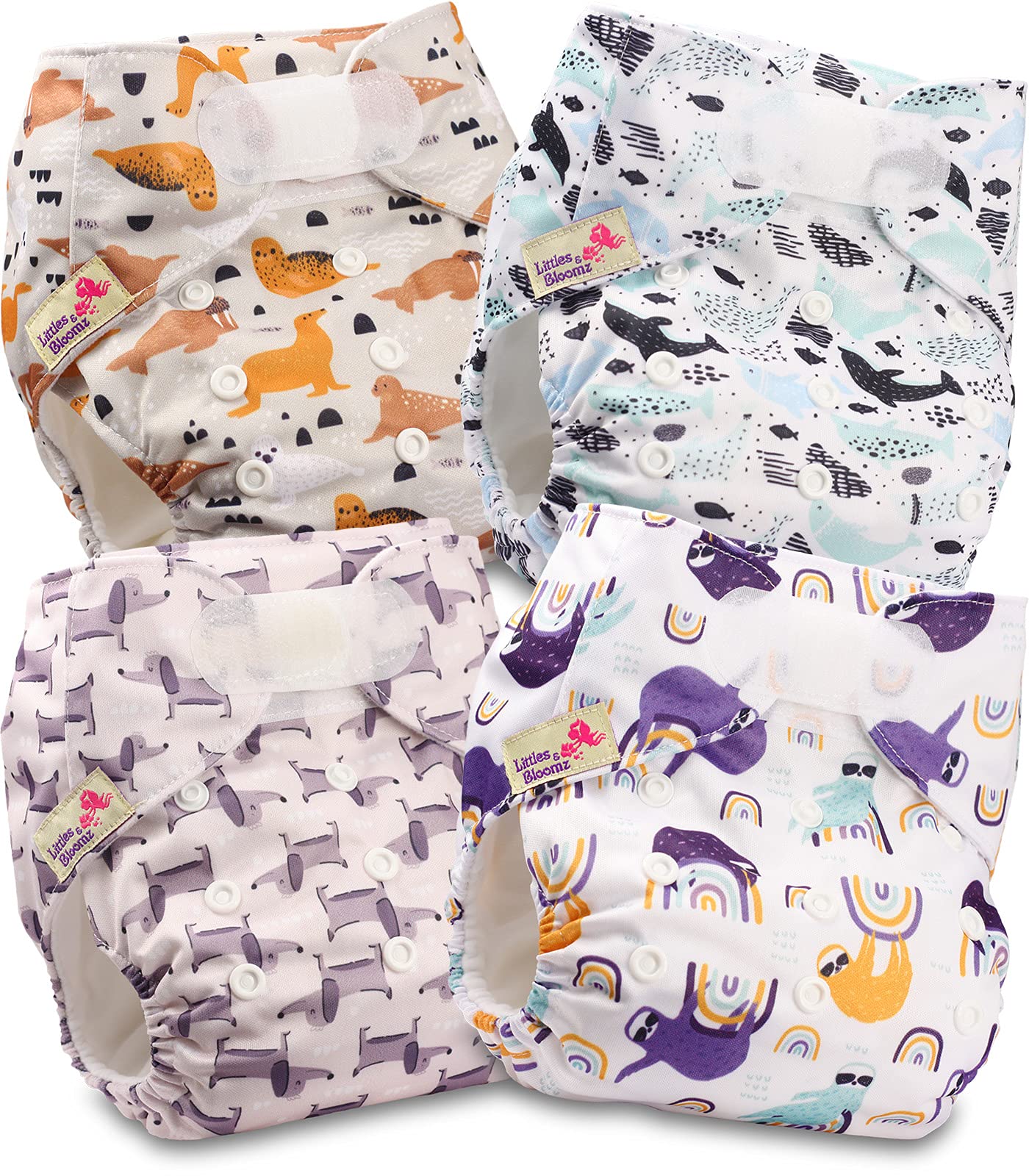 Littles and Bloomz Baby Reusable Pocket Nappy Cloth Diaper, Standard Hook-Loop, 4 Nappies, FLV2-0401