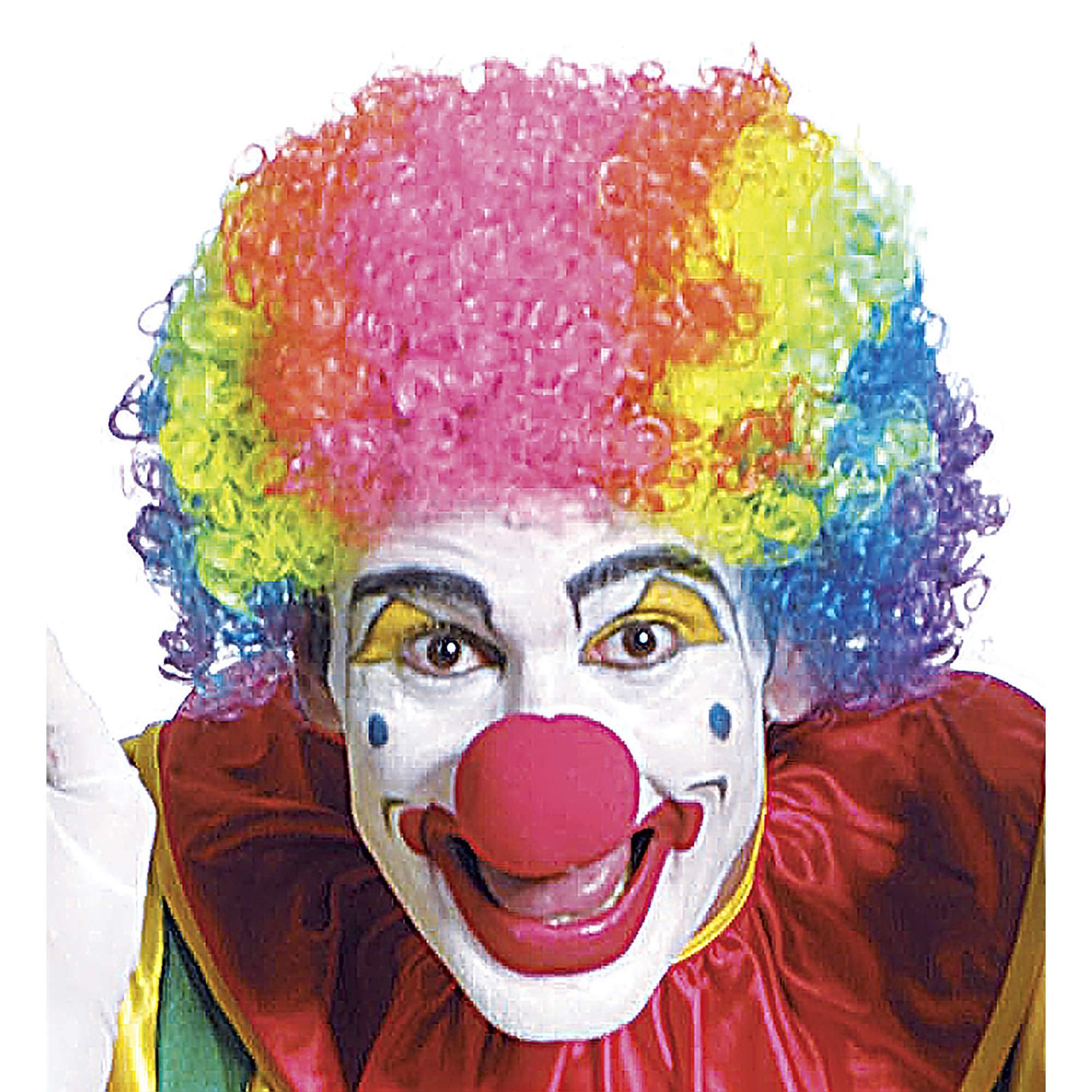Widmann 6022M - Unisex Adult Clown Wig, Circus, Clown, Carnival, Theme Parties, One Size, Multicoloured